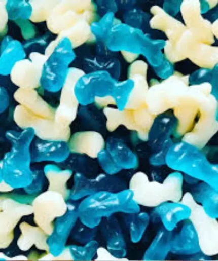 Dolphin Jelly